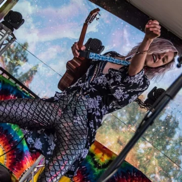 The Disco Chickens @ The Hog Wallow Pub
