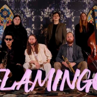 Flamingo Radio Artwork