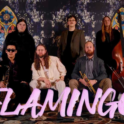 Flamingo