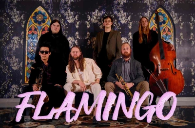 Flamingo