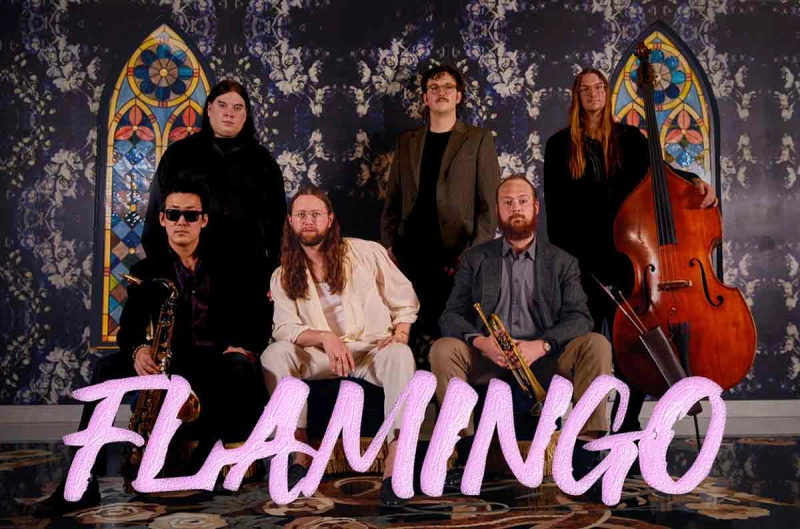 Flamingo