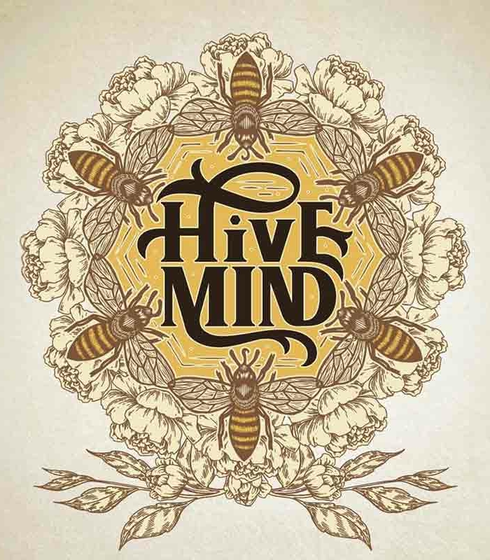 Whiteout Party with Hive Mind, Performing Live in Cottonwood Heights, Utah