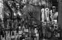 Ninkasi: The Goddess of Beer Carved in Our Walls (2)