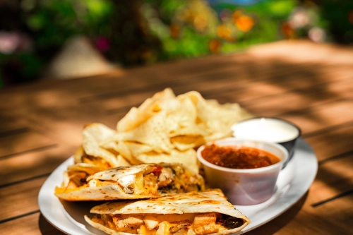 Cheese Quesadilla