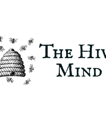 The Hive Mind, Performing Live in Cottonwood Heights, Utah